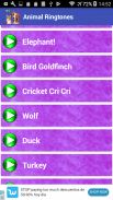 Animal Ringtones screenshot 6