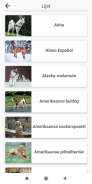Hondenrassen-Quiz over honden! screenshot 1