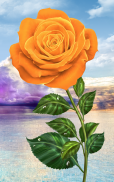 Rose. Magic Touch Flowers screenshot 8