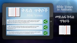 Bible verses in Amharic screenshot 6