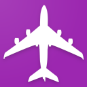 Plane Crash News Icon