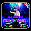 DJ Kimi No Toriko Remix Offline 2020 Icon