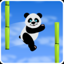 Panda Slide Icon