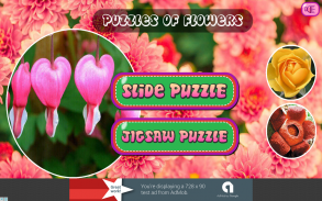 Puzzles of Flowers Free screenshot 8