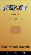 أصوات الحيوانات - Animal Sounds screenshot 1