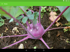 Gardroid - Vegetable Garden screenshot 4