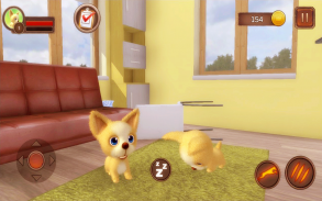 Chihuahua Dog Simulator screenshot 5