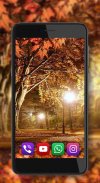 Autumn Park live wallpaper screenshot 1