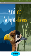 Adaptation in Animals screenshot 2