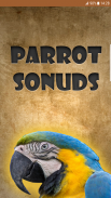 Sounds of parrots screenshot 3