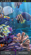 O aquário real - papel animado screenshot 10
