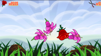 Hate Flowers - Plants Vs Ninja screenshot 6