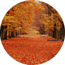 Autumn Wallpaper HD Icon