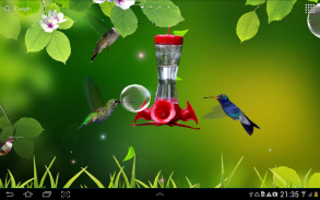 Hummingbirds wallpaper screenshot 0