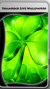 Shamrock wallpapers hidup screenshot 1