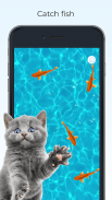 Meow - Cat Toy Games for Cats screenshot 10