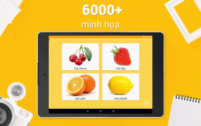 Học tiếng Hà Lan - 11.000 từ screenshot 14