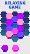 Hexa Master 3D - Color Sort screenshot 13