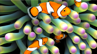 Sim Aquarium Live Wallpaper screenshot 0