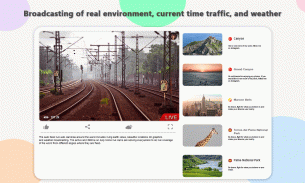 Earth Online Webcam Dunia Langsung - Kamera Publik screenshot 4