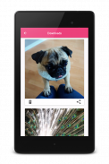 Downloader for Instagram screenshot 8