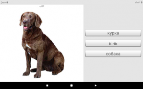 تعلم الكلمات الأوكرانية مع Smart-Teacher screenshot 6