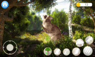 Talking Raccoon screenshot 8