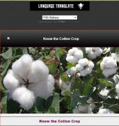 Cultivation of Cotton Plants screenshot 6