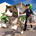 My Running Cat Family Pet Sim Icon