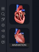 Heart Anatomy Pro. screenshot 6