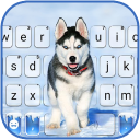 Ice Husky Keyboard Background Icon