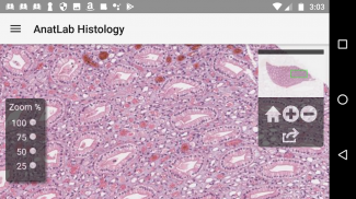 AnatLab Histology screenshot 1