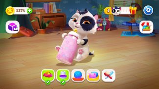 My Cat - Giả lập thú cưng ảo screenshot 16