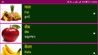 Learn Hindi From Gujarati screenshot 14