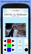 Penguin Matchup Free match Memory Game & wallpaper screenshot 2