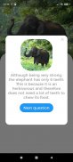 Animals Quest - Fun Quiz screenshot 0