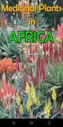 Medicinal Plants in Africa screenshot 3