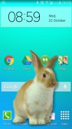 Kролик на Экране милая шутка screenshot 0
