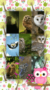 Cute Owl Wallpapers screenshot 1