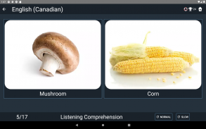 Canadian English Tests screenshot 3