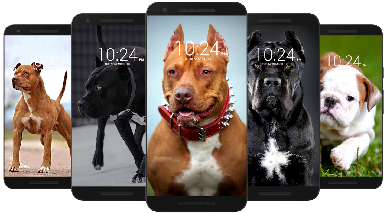 Pitbull Dog Art iPhone Wallpaper  iPhone Wallpapers