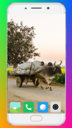 Bullock Cart Wallpaper Full HD screenshot 0