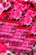 Keyboard Bunga Pink screenshot 4
