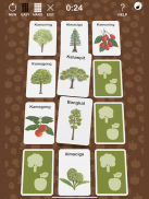 ForesTree Philippine Native Trees Game screenshot 3