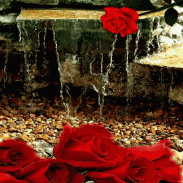 Rose Waterfall Live Wallpaper screenshot 3