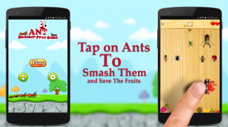 Ant Smasher Free Game screenshot 7