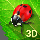 Bugs Life 3D Free - 3D Live Wa Icon