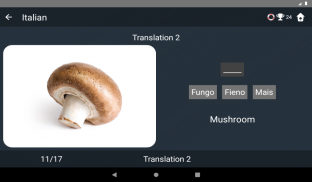 Italian Language Tests screenshot 6