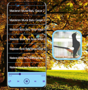 Masteran Kicau Murai Batu Mp3 screenshot 0