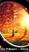 Live Wallpapers – Autumn screenshot 0